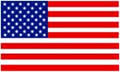 USA Flag Logo